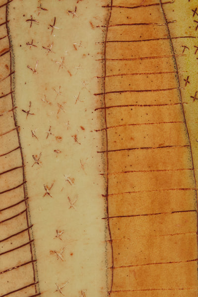 Combining Encaustic and Digital Art for Jacob’s Ladder